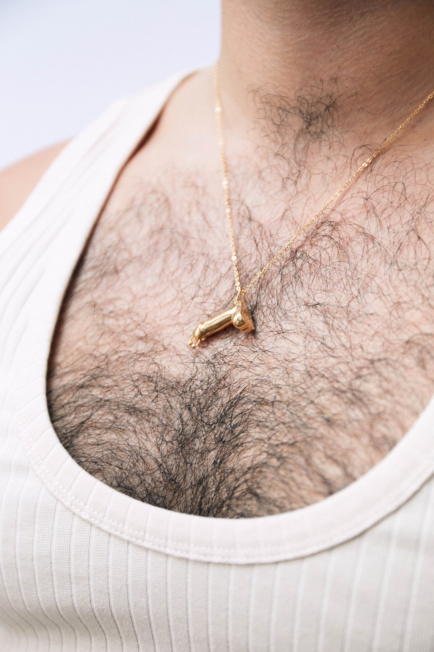 Prince Albert Dick Pendant Necklace - Gold